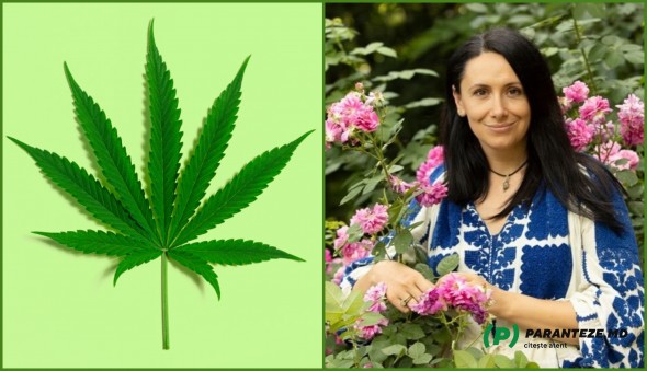 DOC // Poliția a confirmat spusele lui Cavcaliuc. Nata Albot a fost prinsă la aeroport cu marijuană